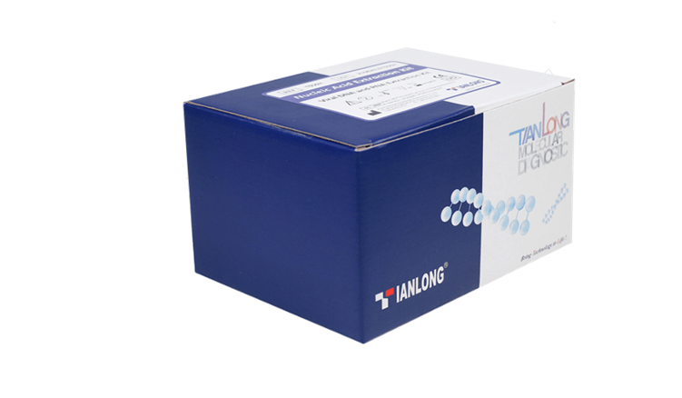 Unveiling the Future of Medical Diagnostics with TIANLONG's In vitro Diagnostic Devices